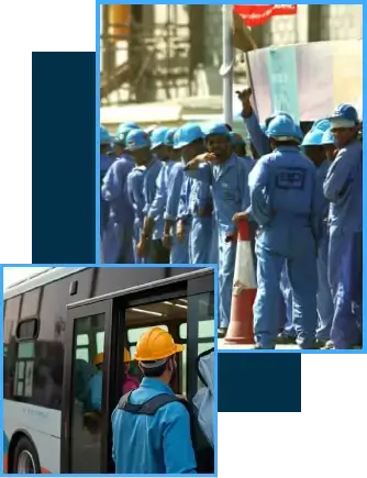 Why Choose Sky Star Transport for Labour Transportation